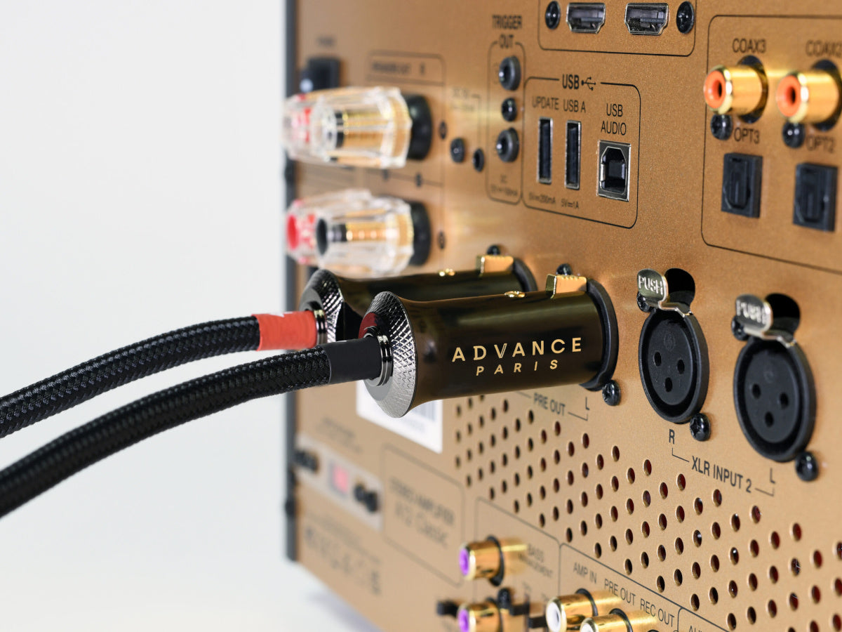 ADVANCE PARIS LINK XLR