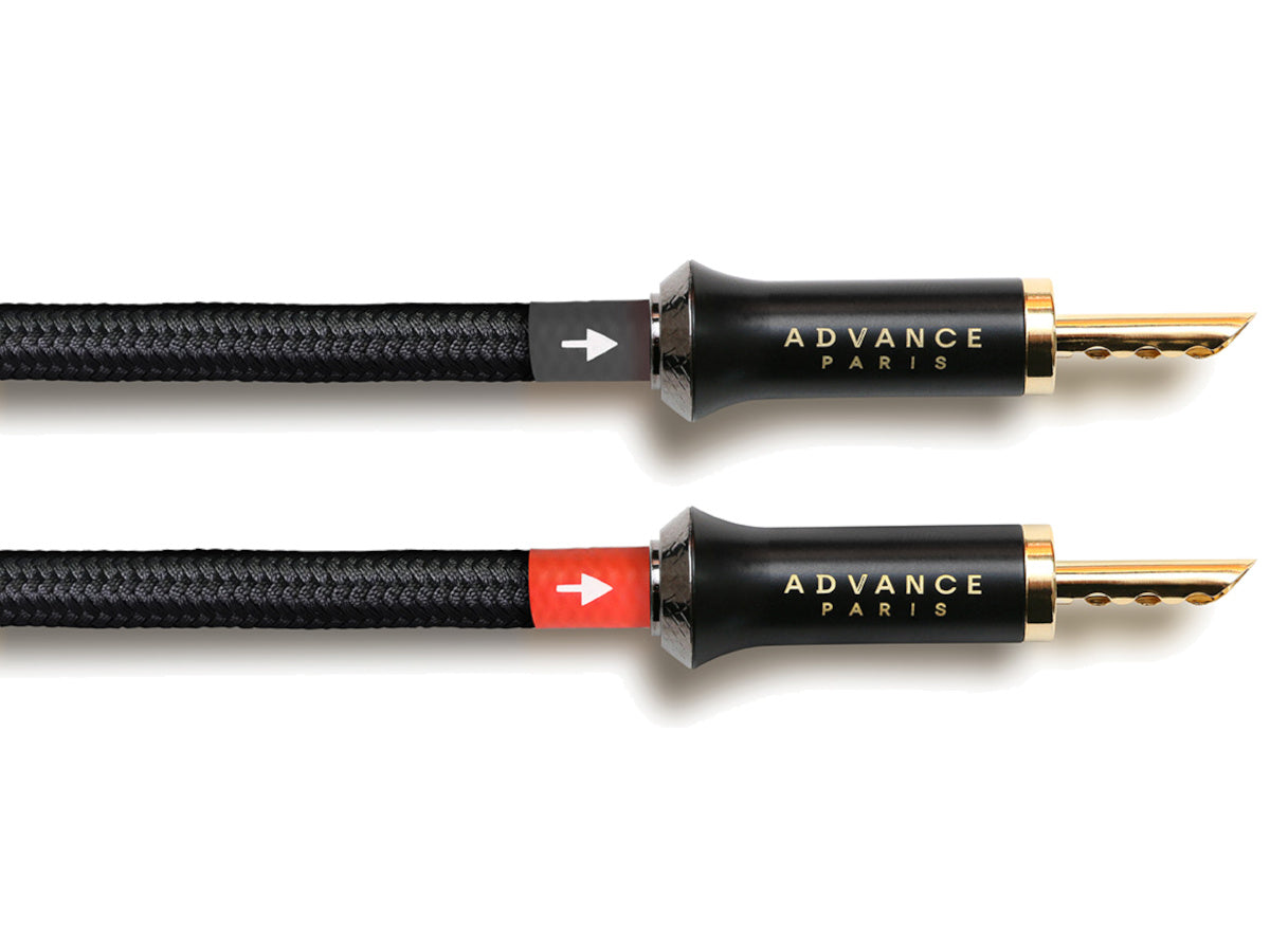 ADVANCE PARIS LINK Speaker