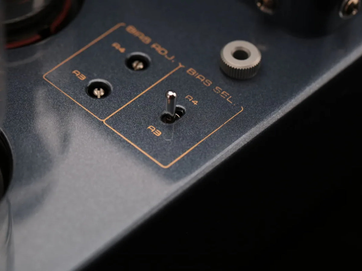 CAYIN CS-55A KT88 Noir detail reglages