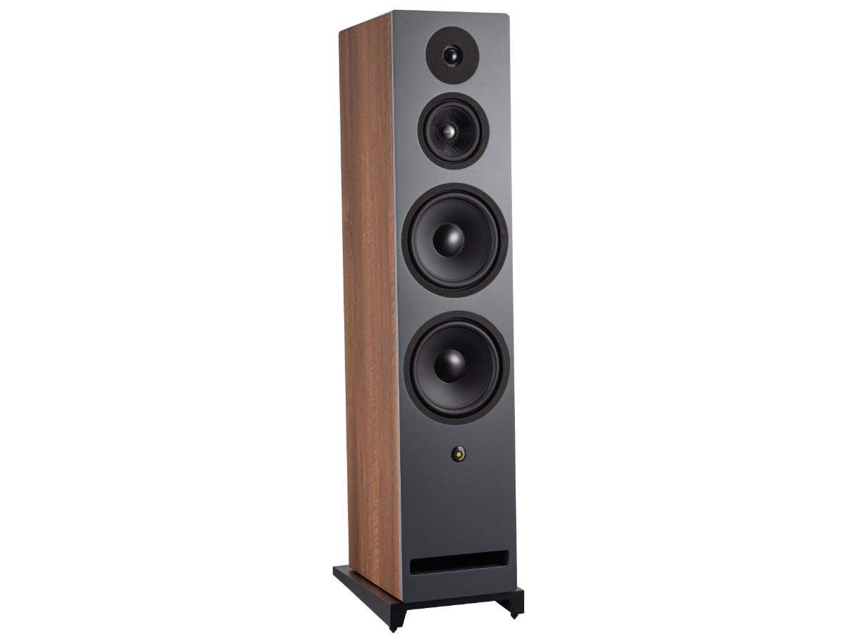 DAVIS KRYPTON 10 (la paire) Noyer