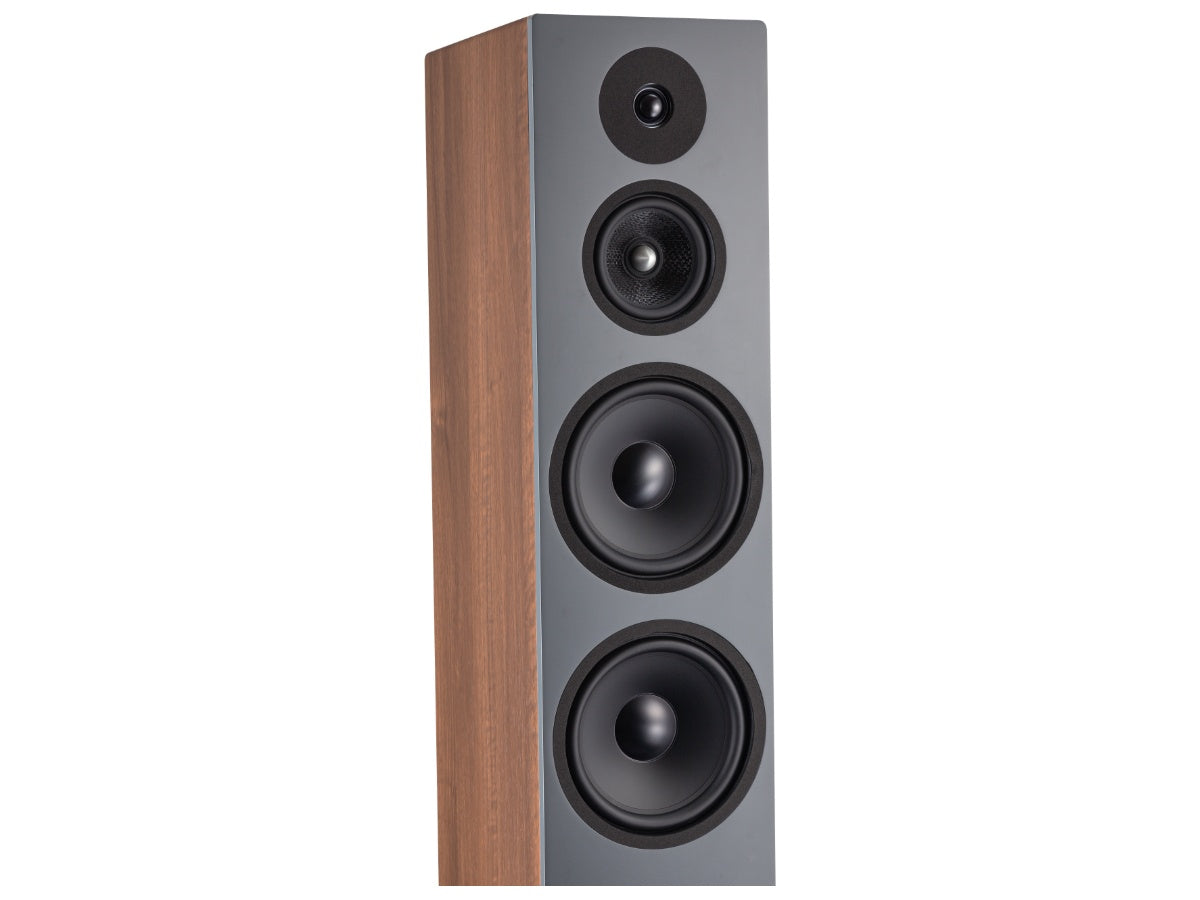 DAVIS KRYPTON 10 (la paire) Noyer