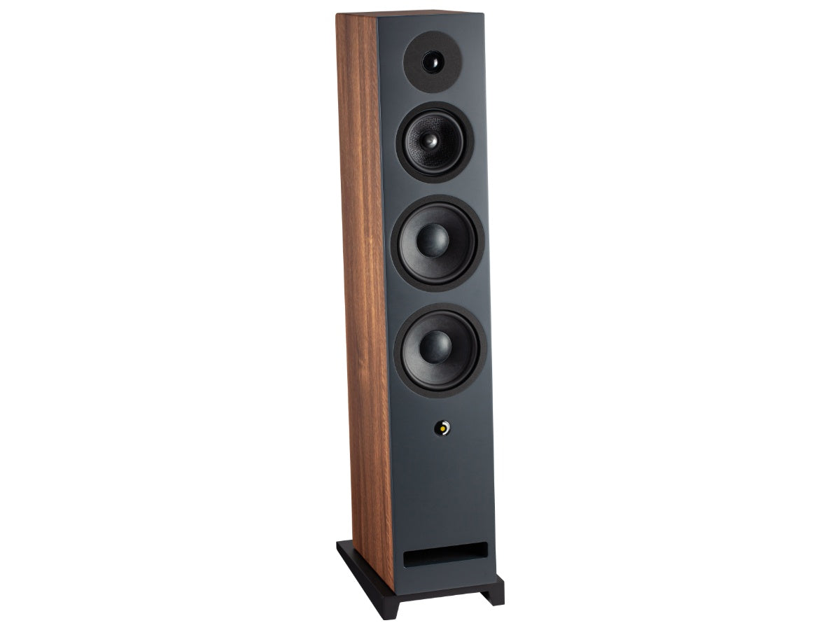 DAVIS KRYPTON 9 (la paire) Noyer
