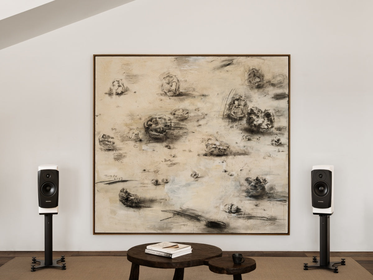 DYNAUDIO CONFIDENCE 20A (la paire) Snow
