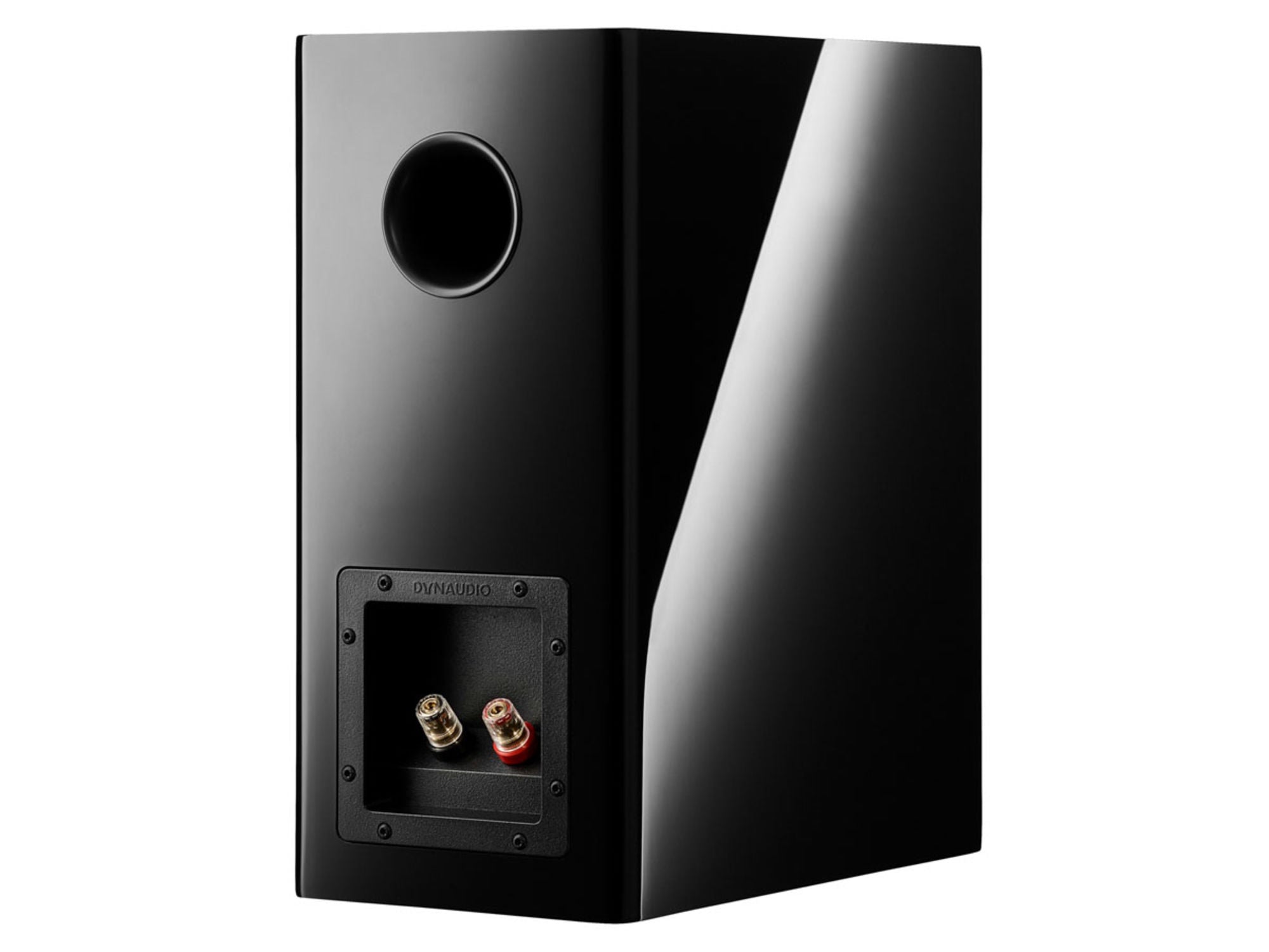 DYNAUDIO EVOKE 20 Black High Gloss connectique