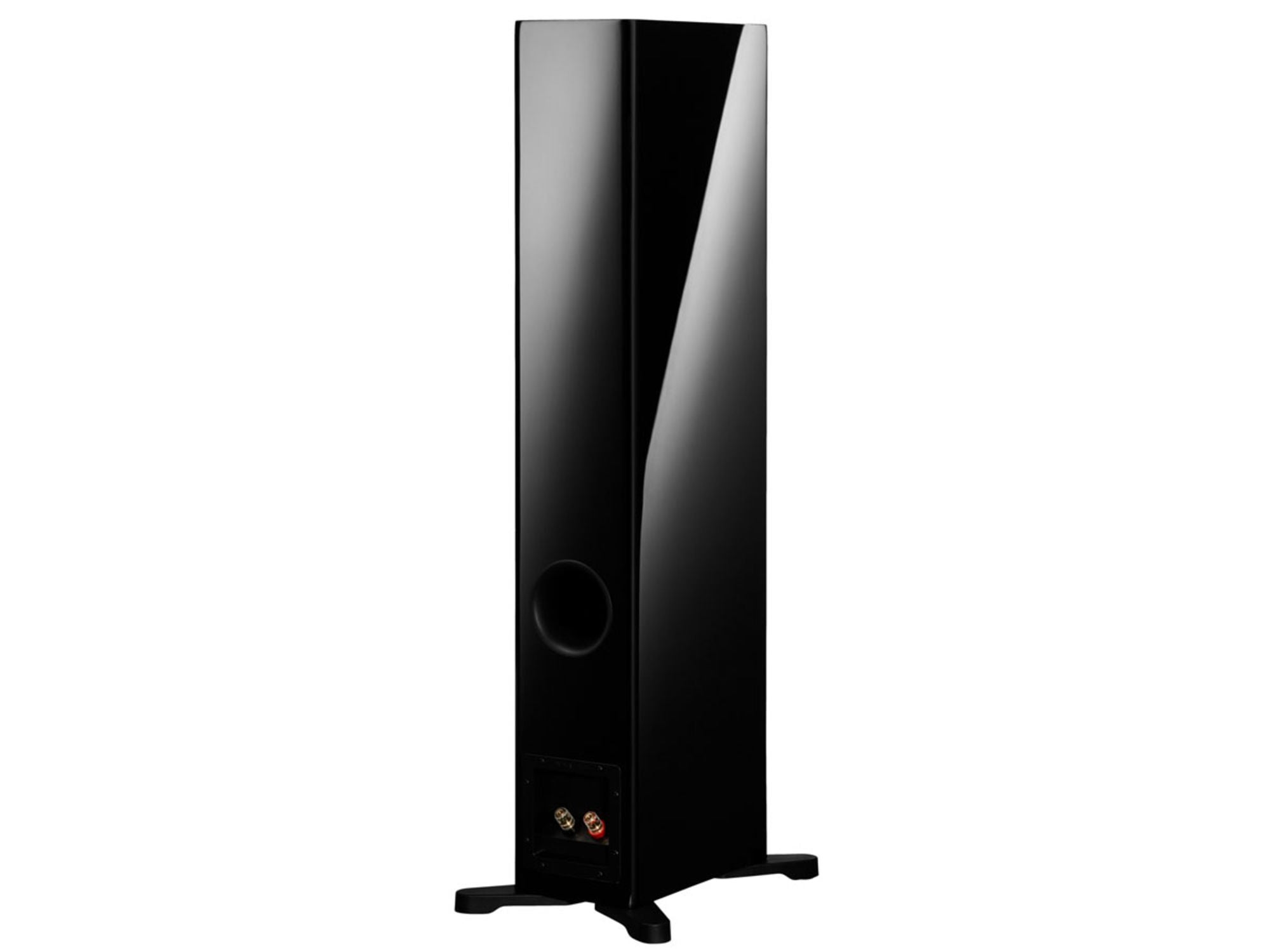 DYNAUDIO EVOKE 30 Black High Gloss dos + bornier