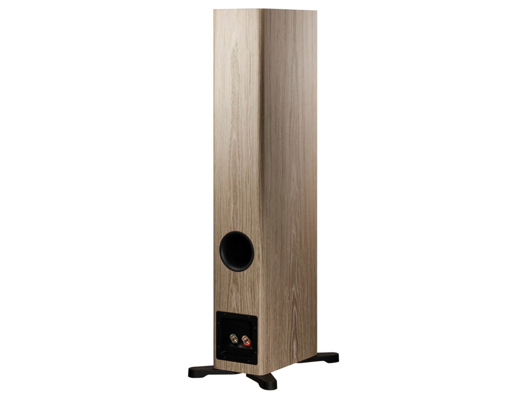 DYNAUDIO EVOKE 30 Bois Clair arrière