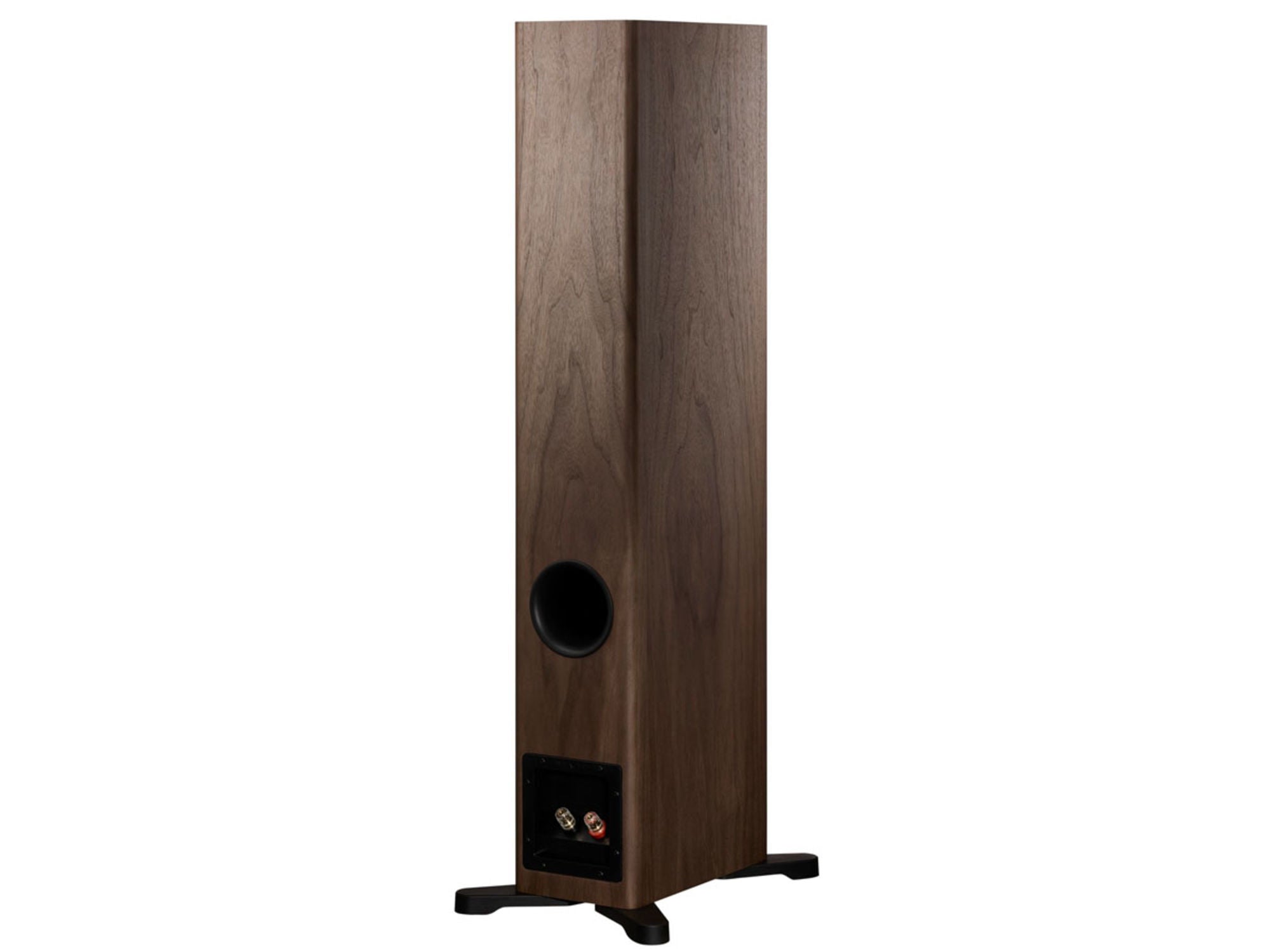 DYNAUDIO EVOKE 30 Noyer arrière + bornier