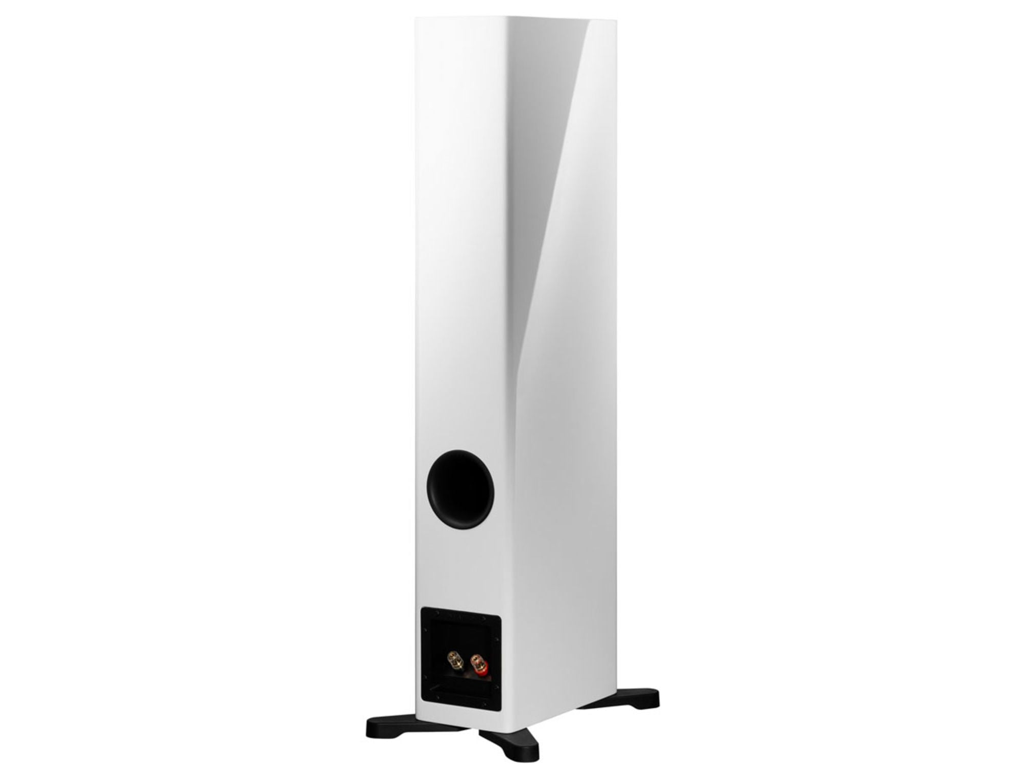 DYNAUDIO EVOKE 30 White High Gloss dos + bornier