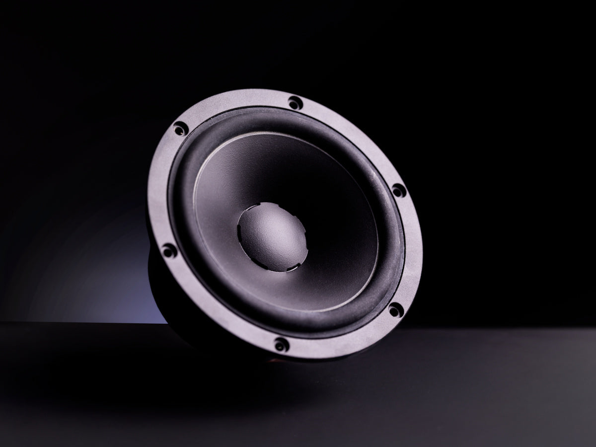 Dynaudio Legend (Woofer)