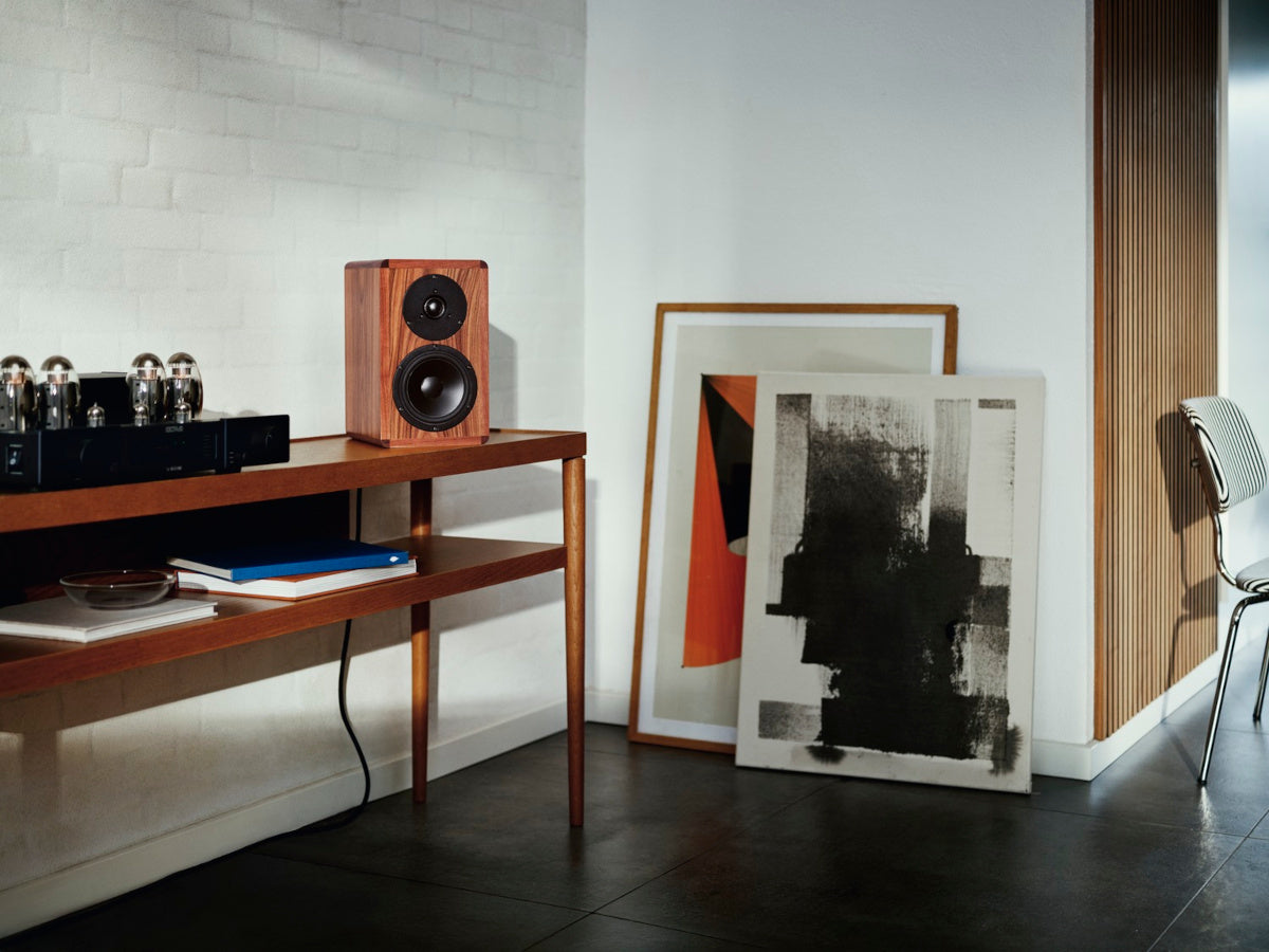 DYNAUDIO LEGEND Natural Rosewood (lifestyle 8)