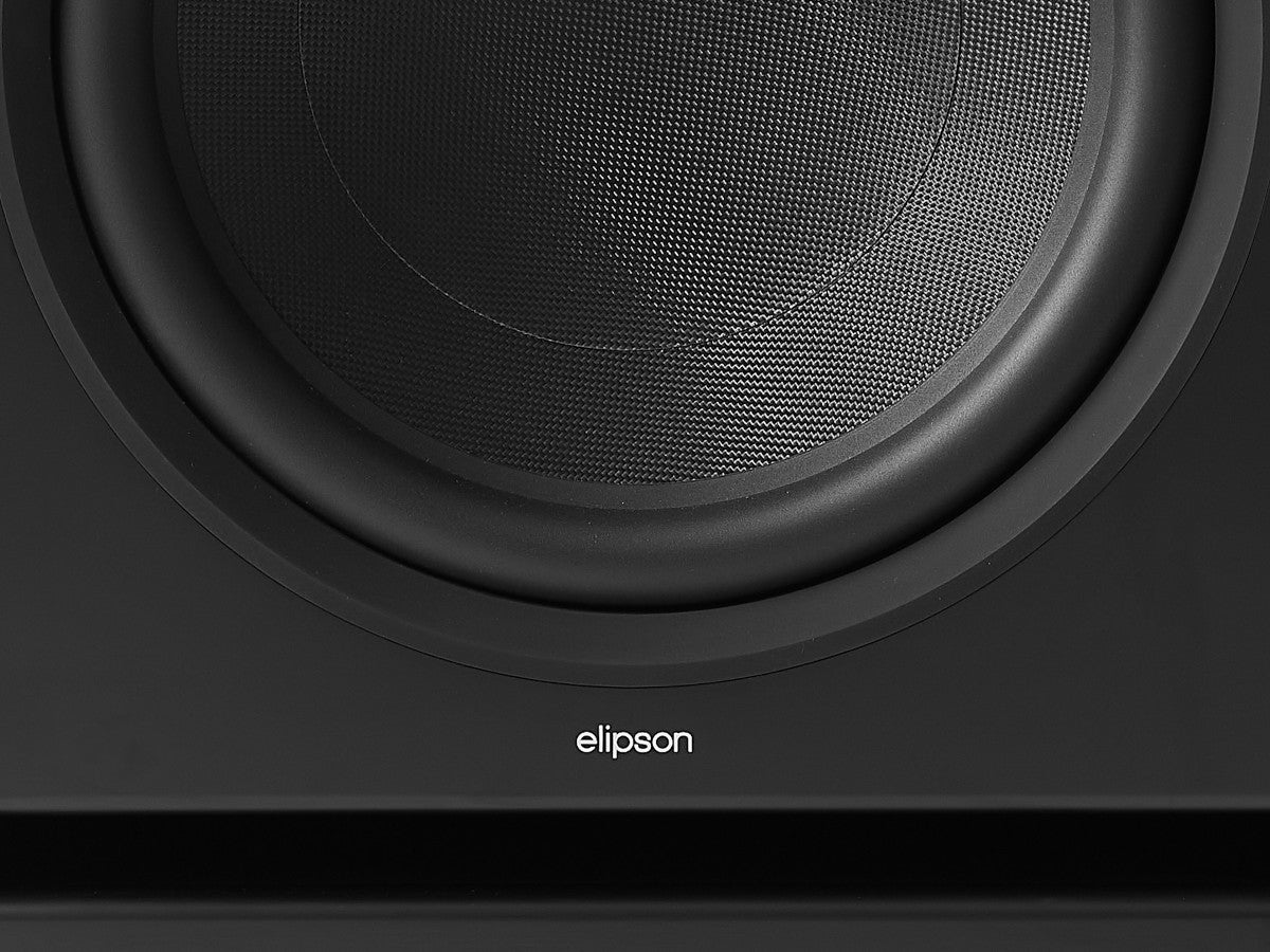 Elipson Premium SUB 15 Noir detail haut parleur