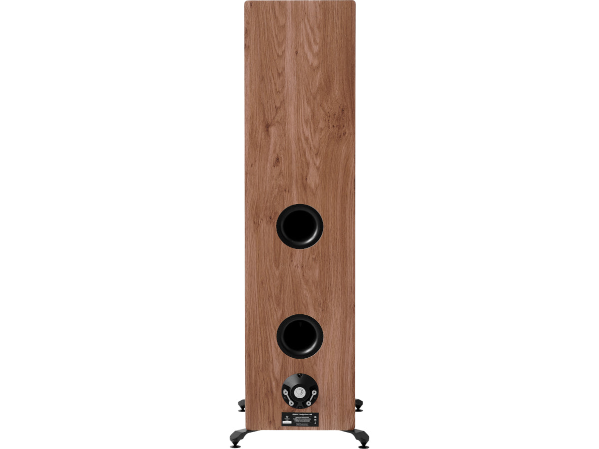 Elipson Prestige Facet II 34F Noir Noyer arrière