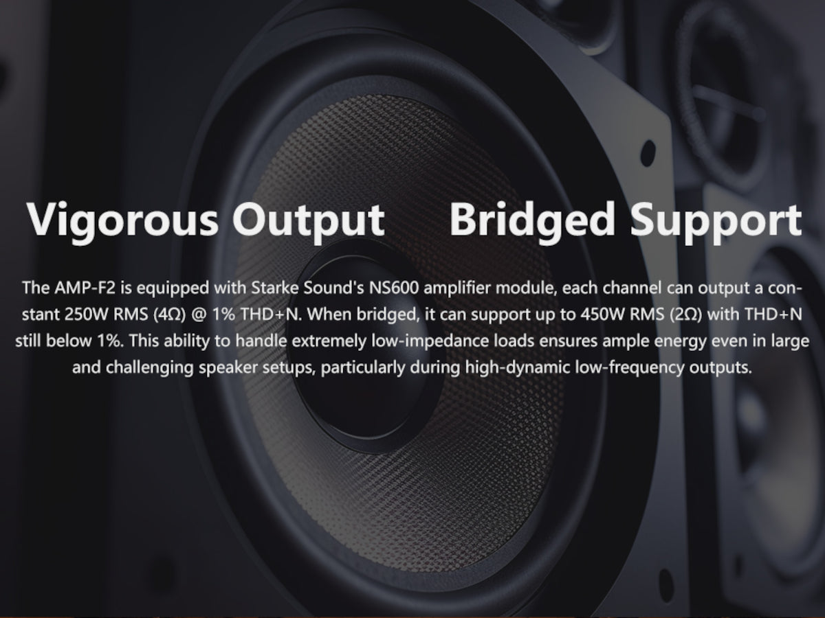 EVERSOLO AMP-F2