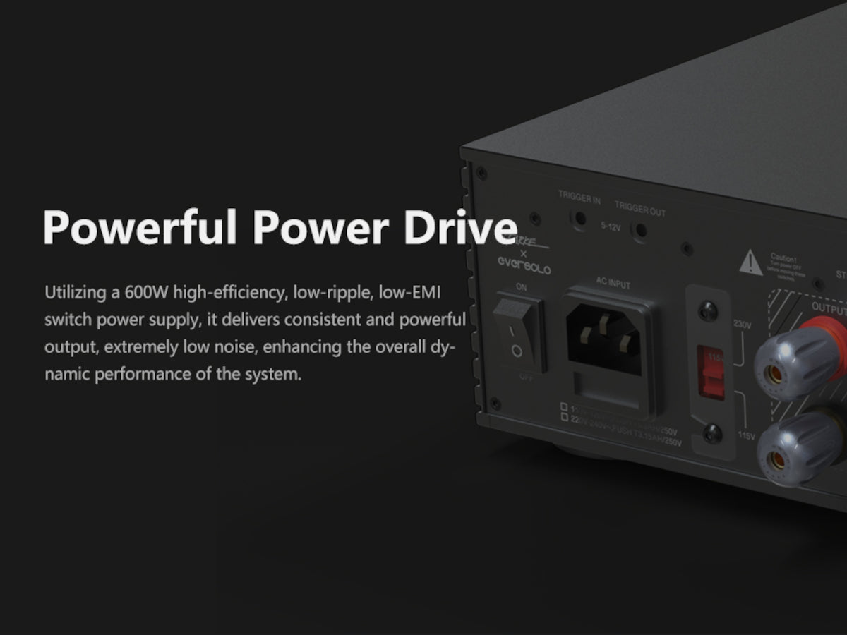 EVERSOLO AMP-F2