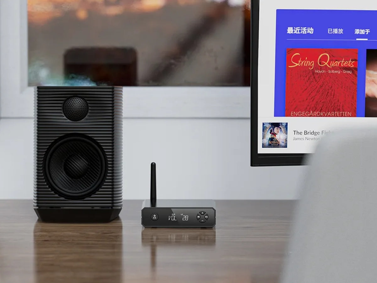 FIIO BR13