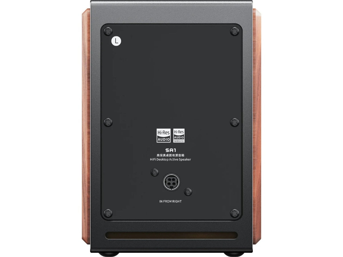 FIIO SA1 Noir