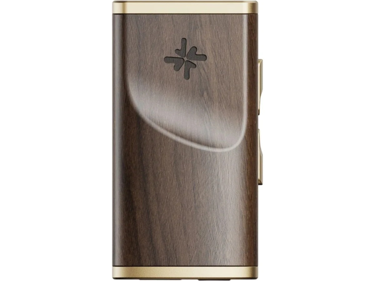 FIIO Snowsky Melody Noyer