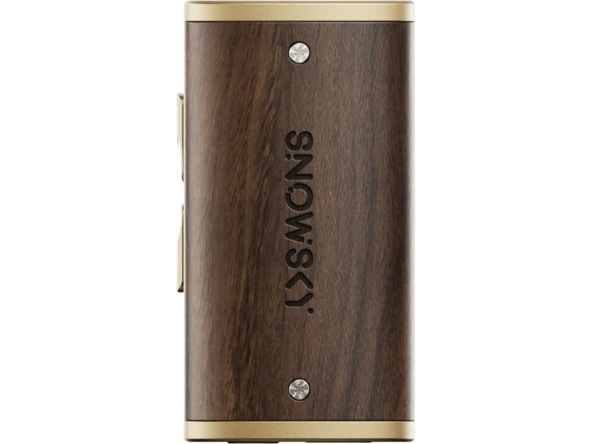 FIIO Snowsky Melody Noyer