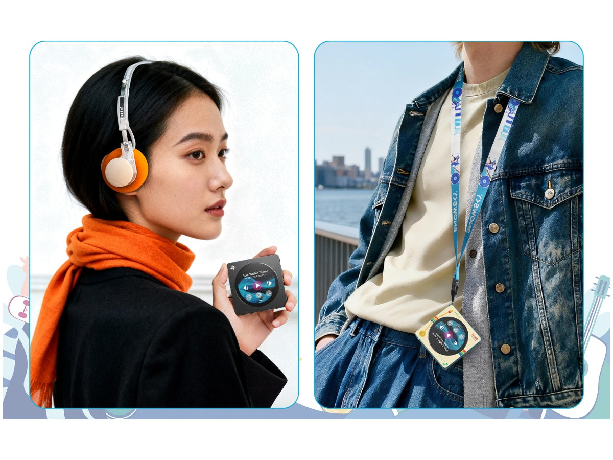 FIIO Snowsky Disc Noir