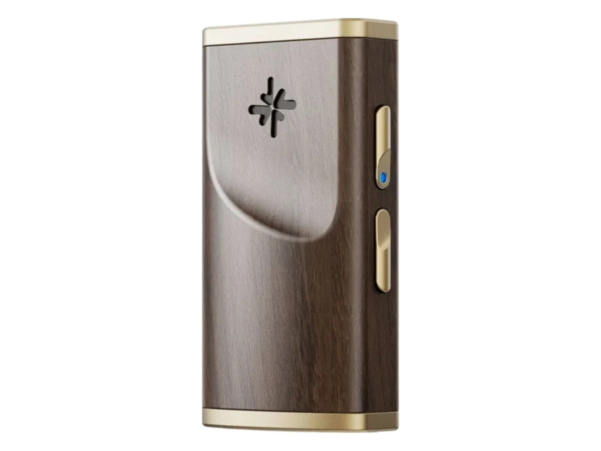 FIIO Snowsky Melody Noyer