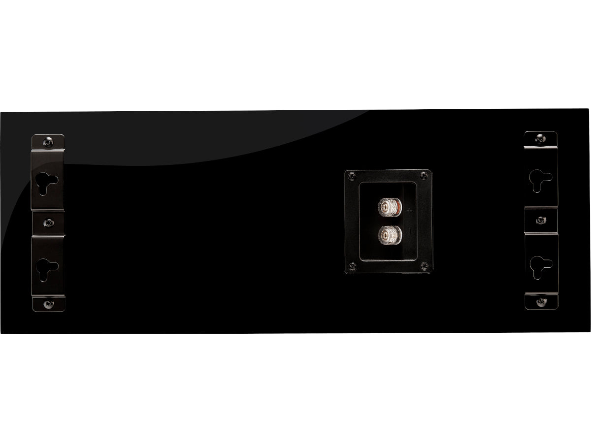 Fyne-audio F500S LCR Noir Laqué connectique