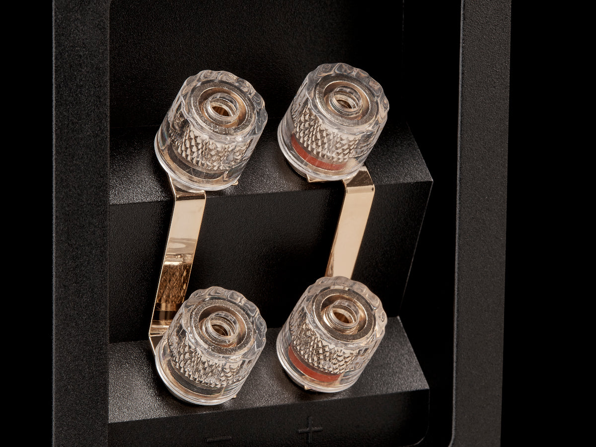 FYNE AUDIO F501E (la paire)