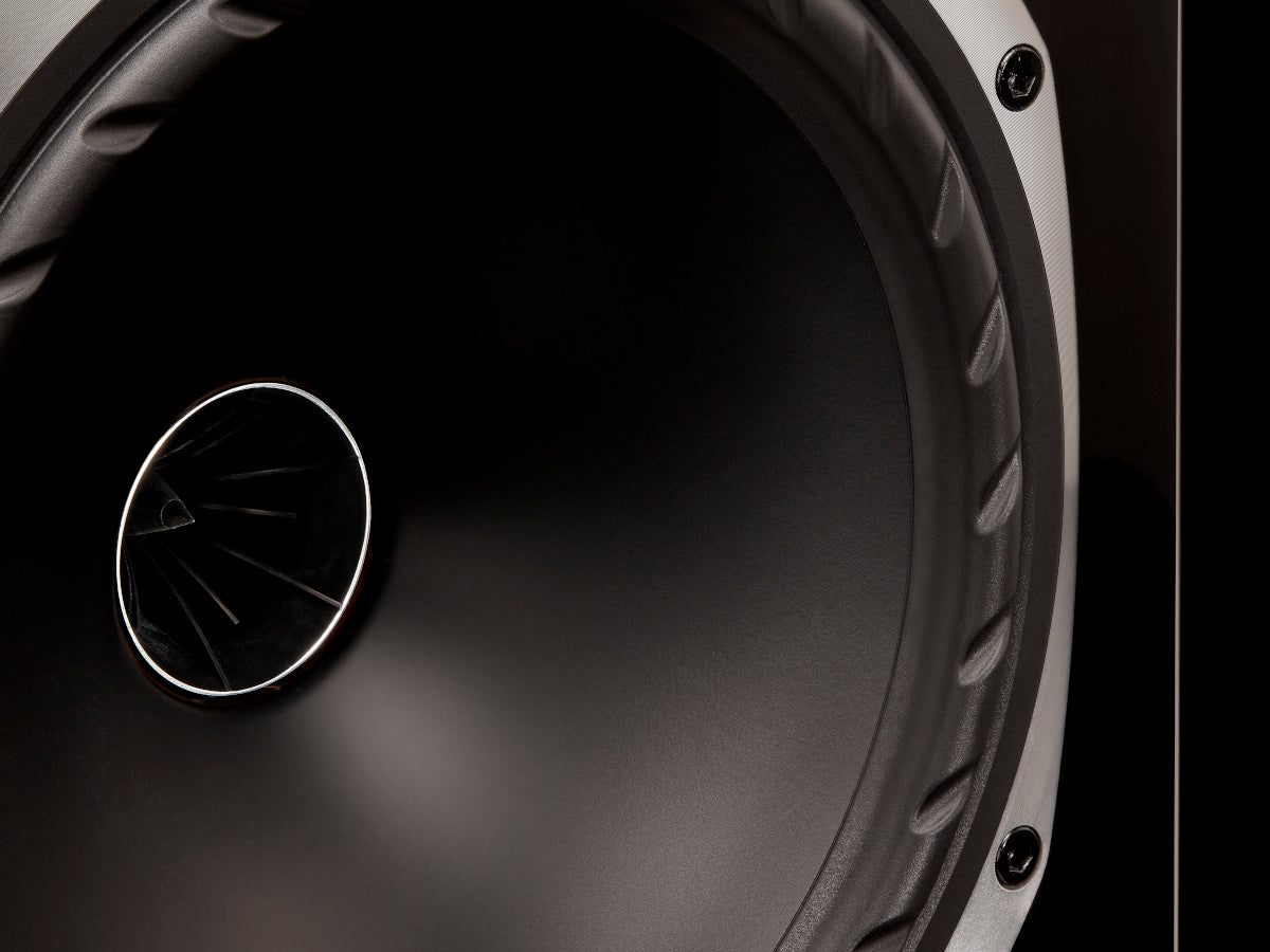 FYNE AUDIO F502S (la paire)