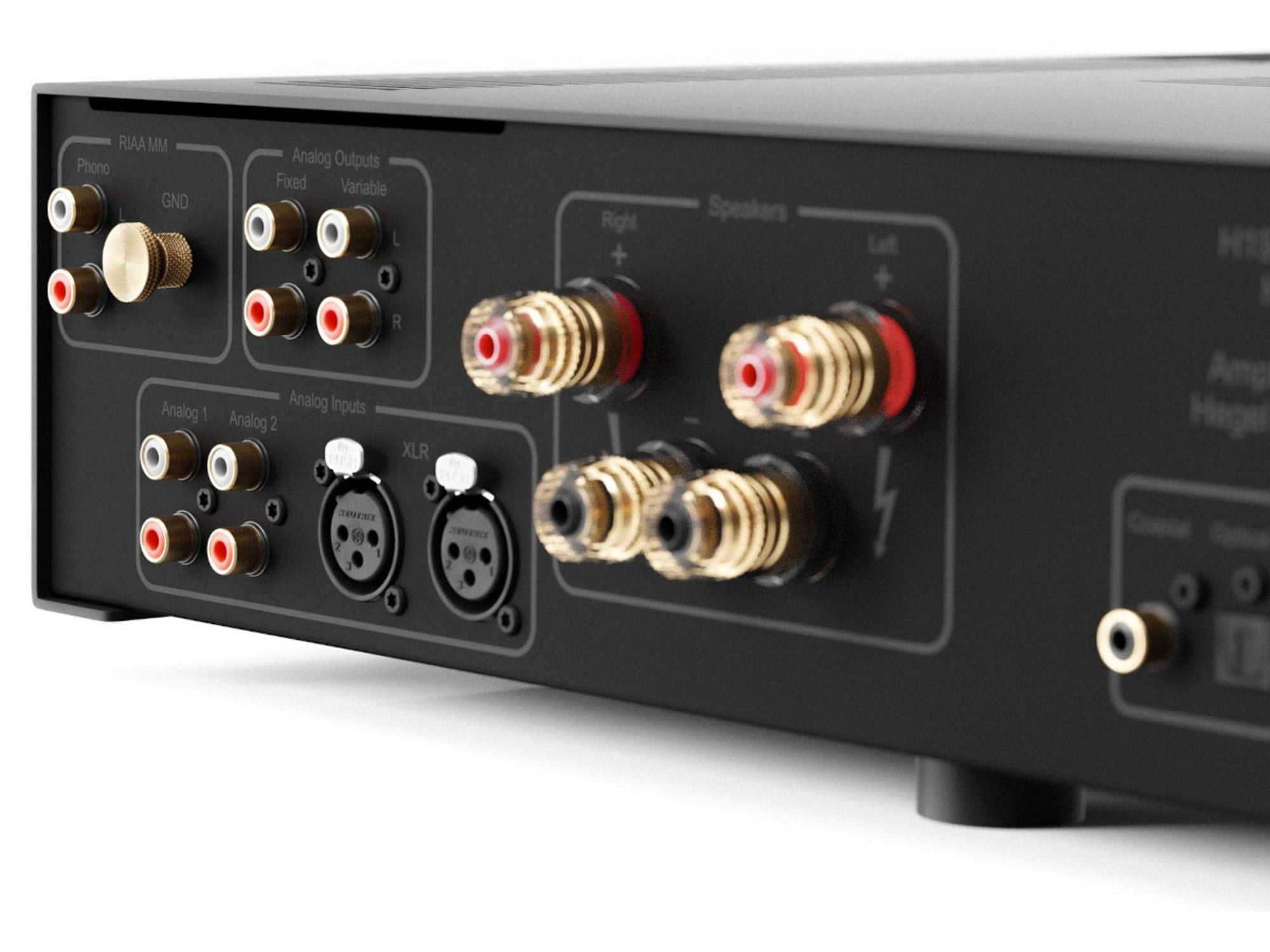 HEGEL H190V Black detail prises