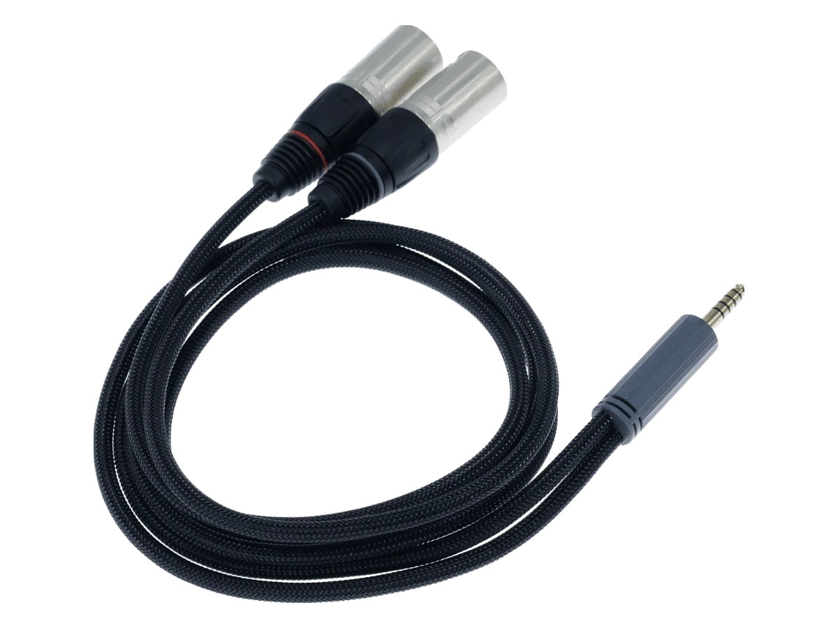 iFi Audio Câble 4.4mm vers XLR Standard Edition