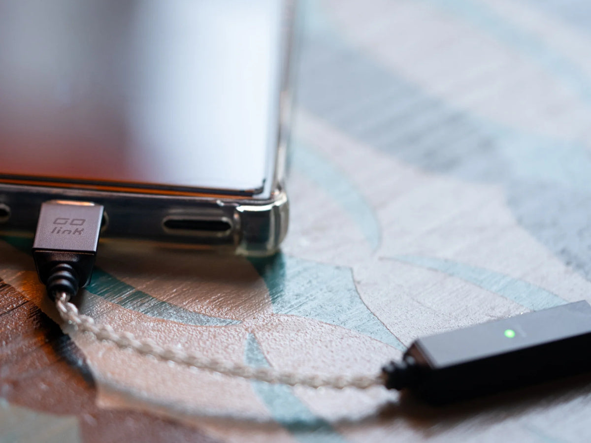 iFi Audio GO Link 2 (10)