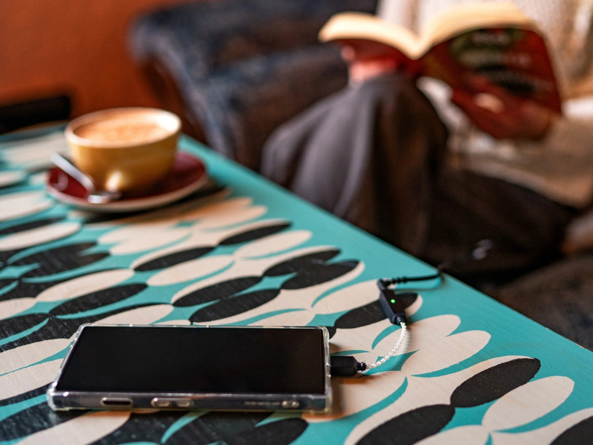 iFi Audio GO Link 2 (5)