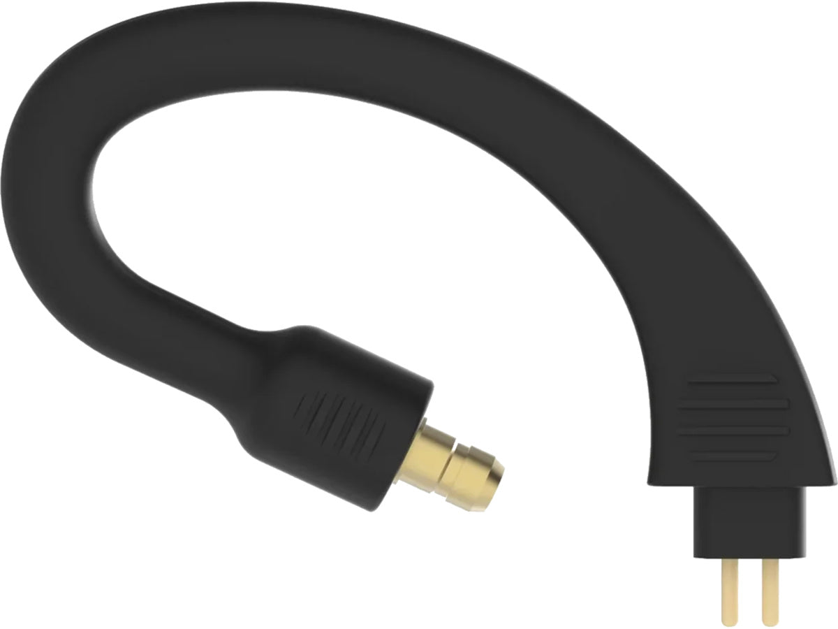 iFi Audio GO pod Pentaconn Ear