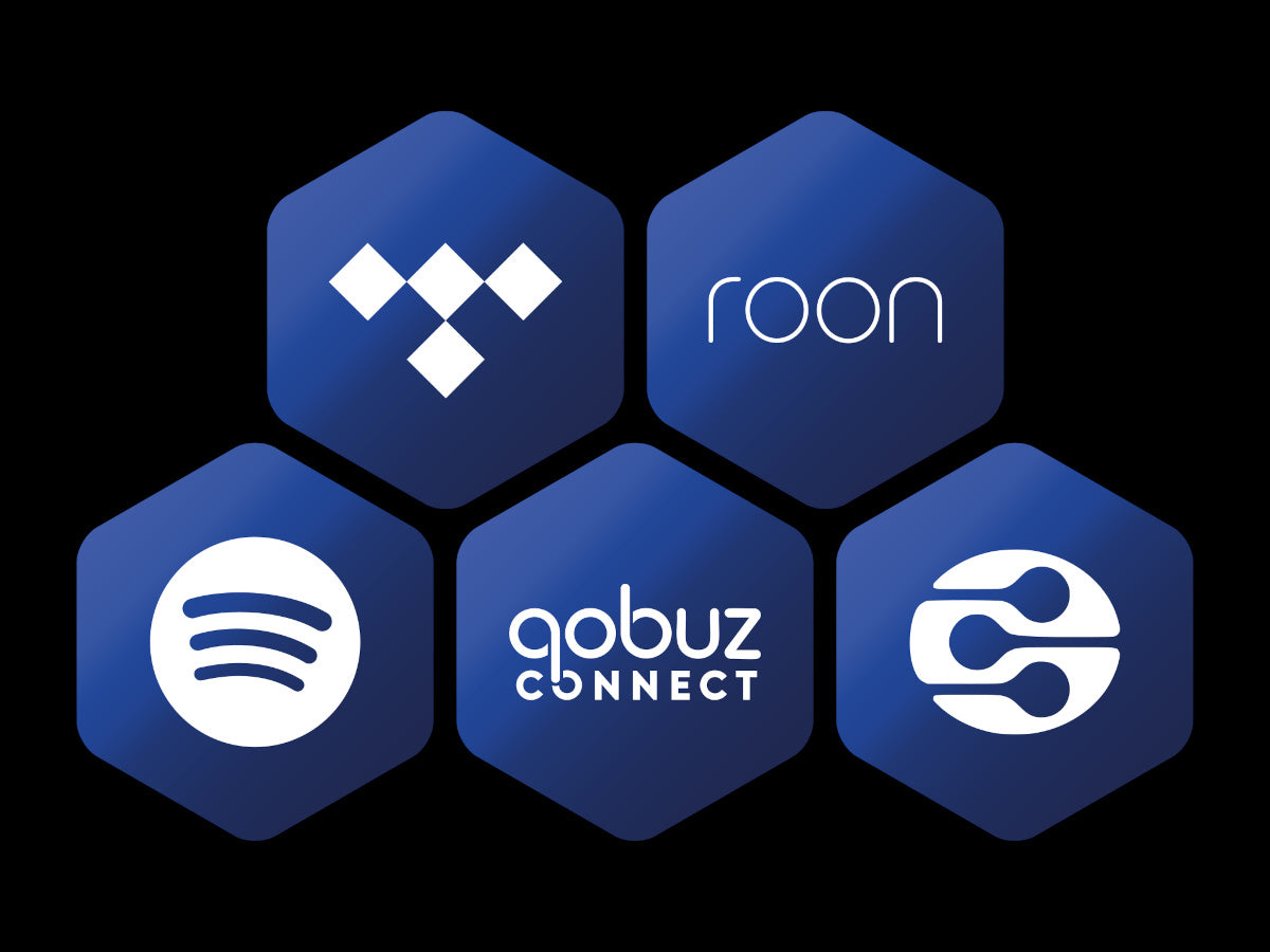 iFi Audio NEO STREAM 3