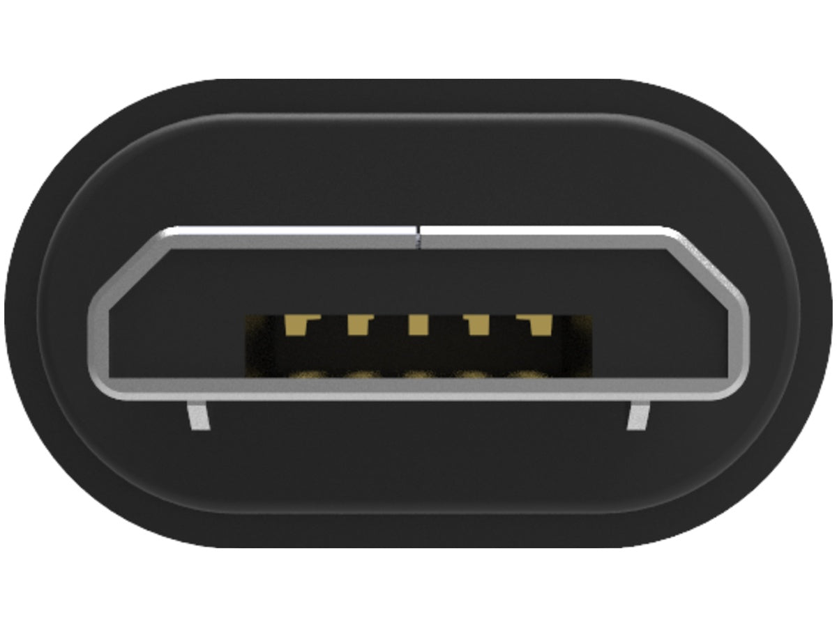 iFi Audio Câble Micro OTG