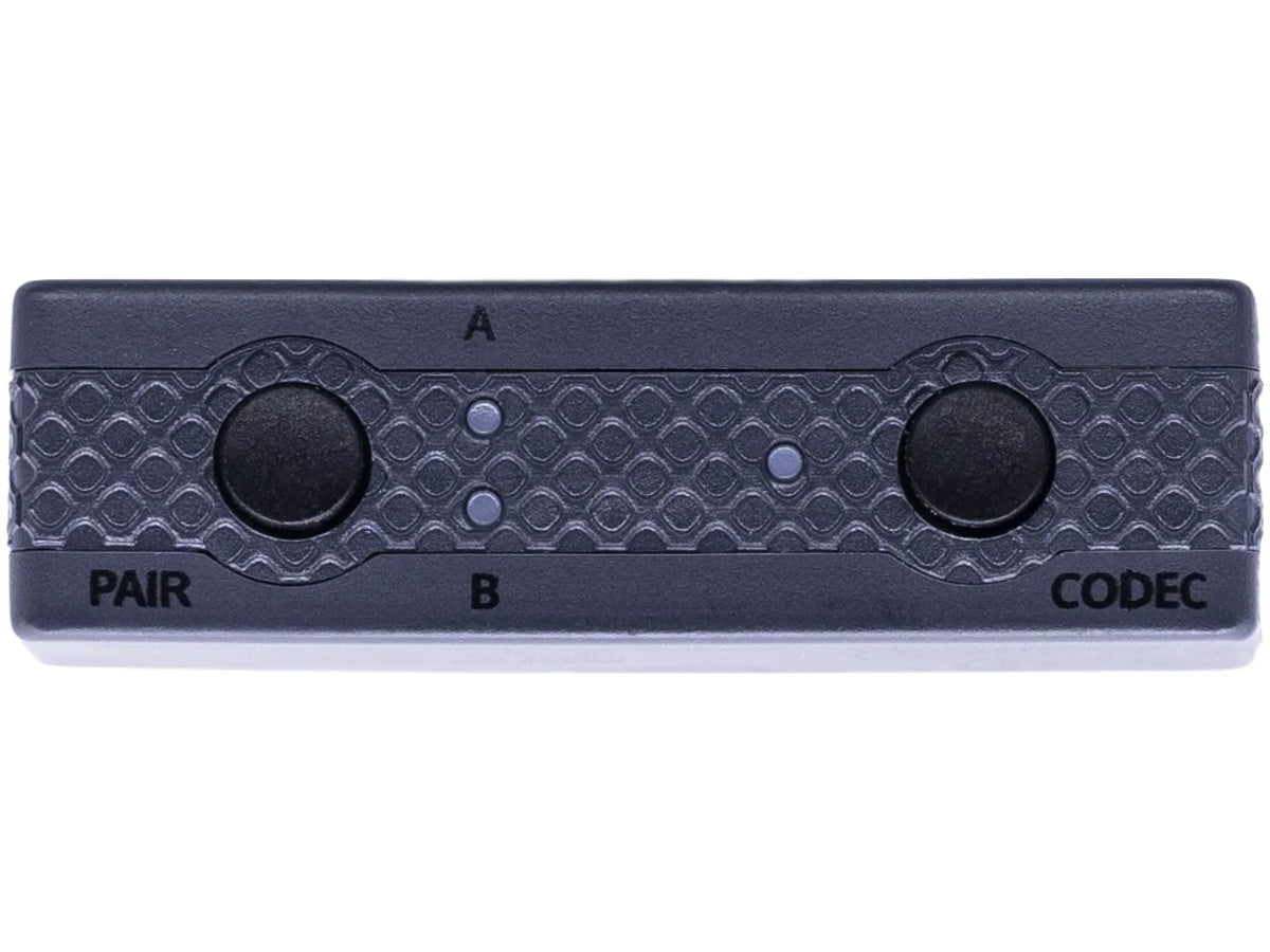 iFi Audio UP Play