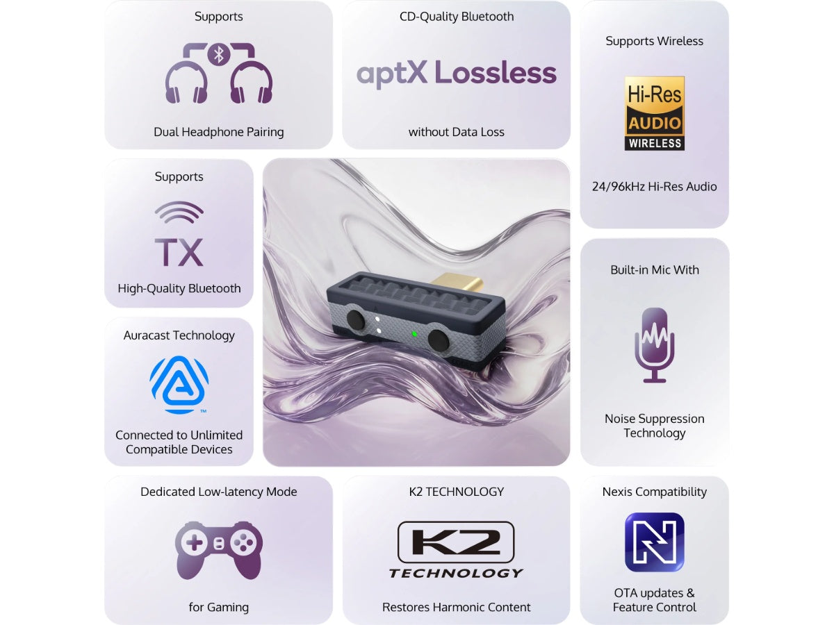 iFi Audio UP Play Max