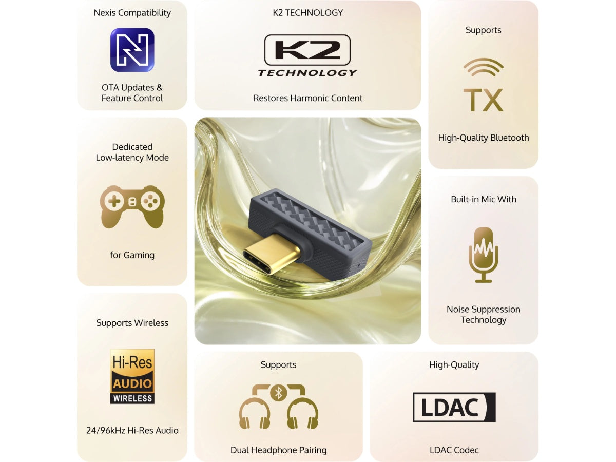 iFi Audio UP Play