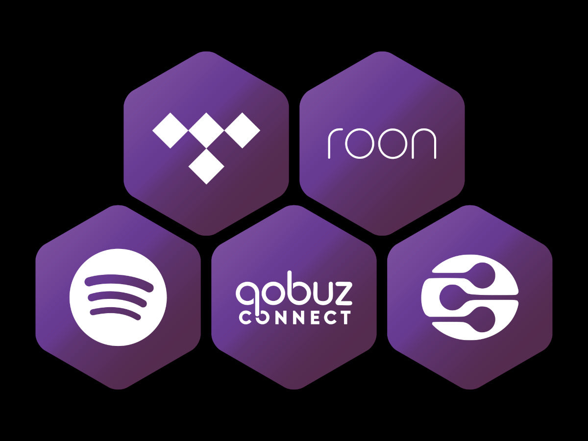 iFi Audio ZEN STREAM 3