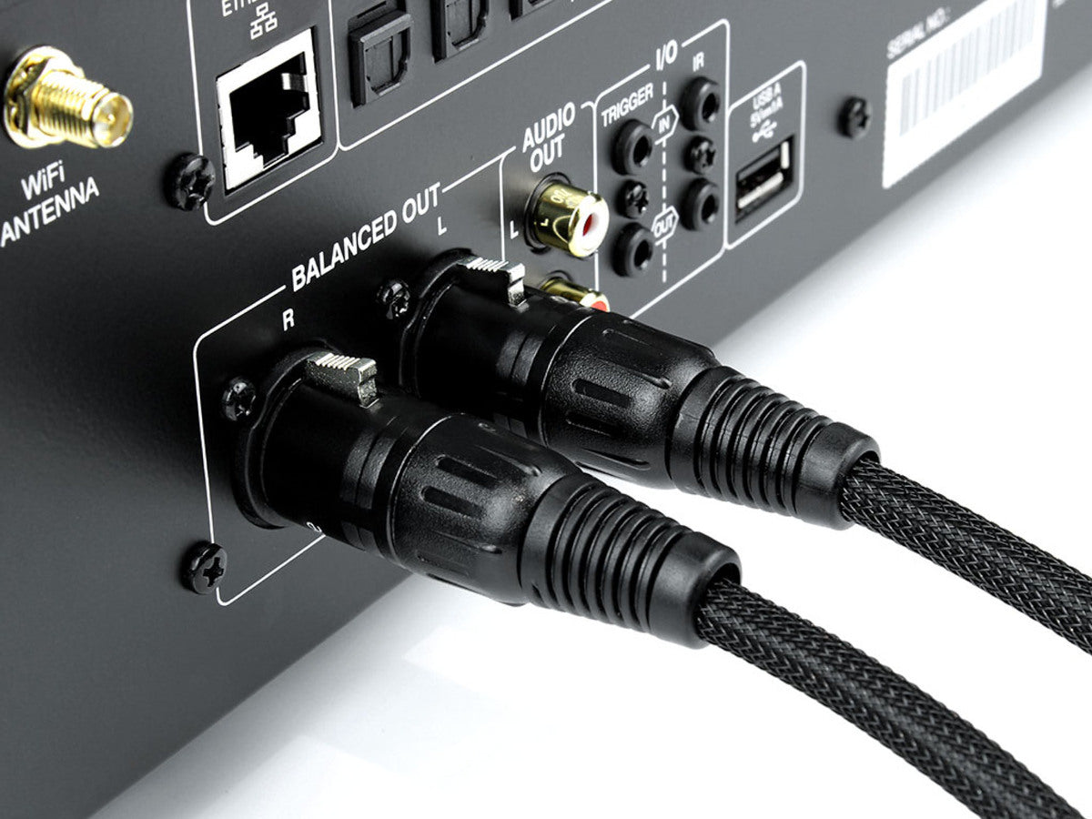 NORSTONE ARRAN XLR