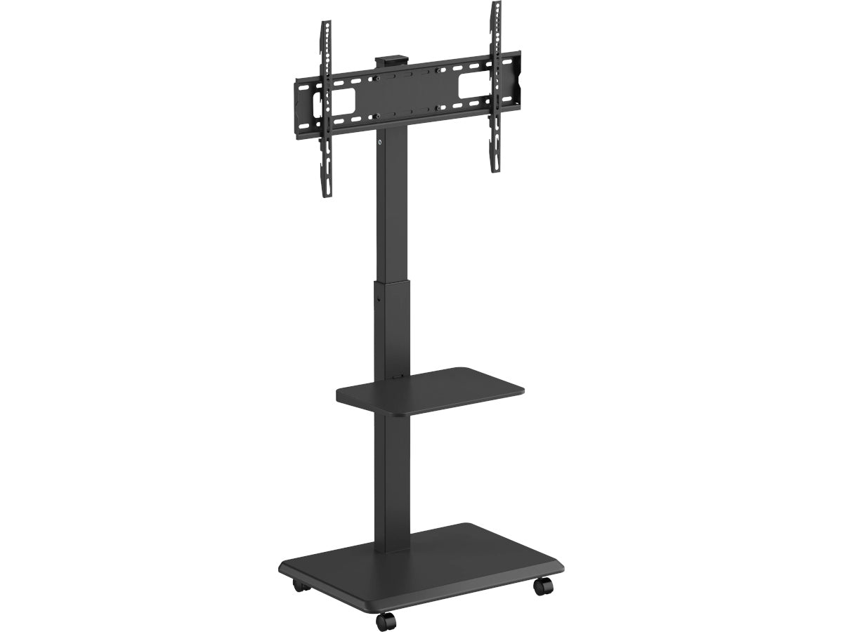 NORSTONE VISION PLUS