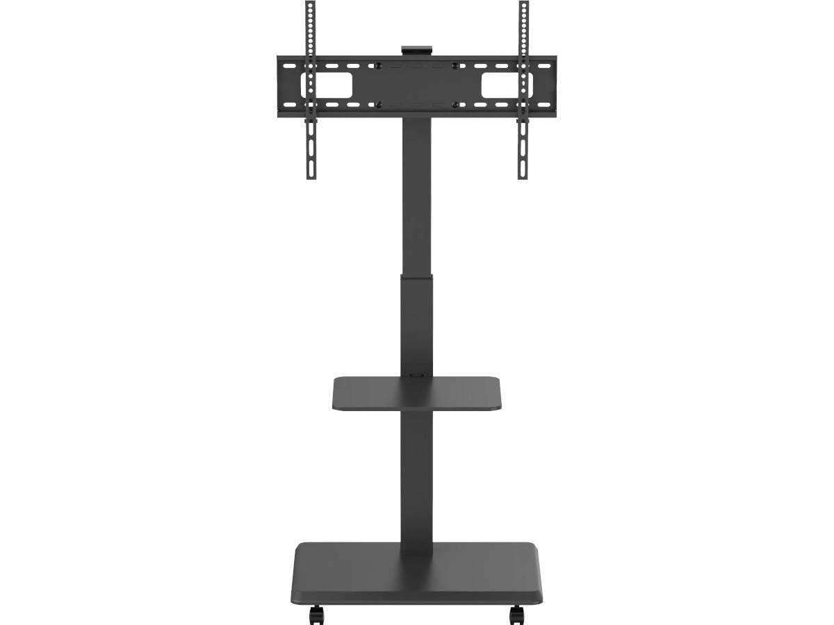 NORSTONE VISION PLUS