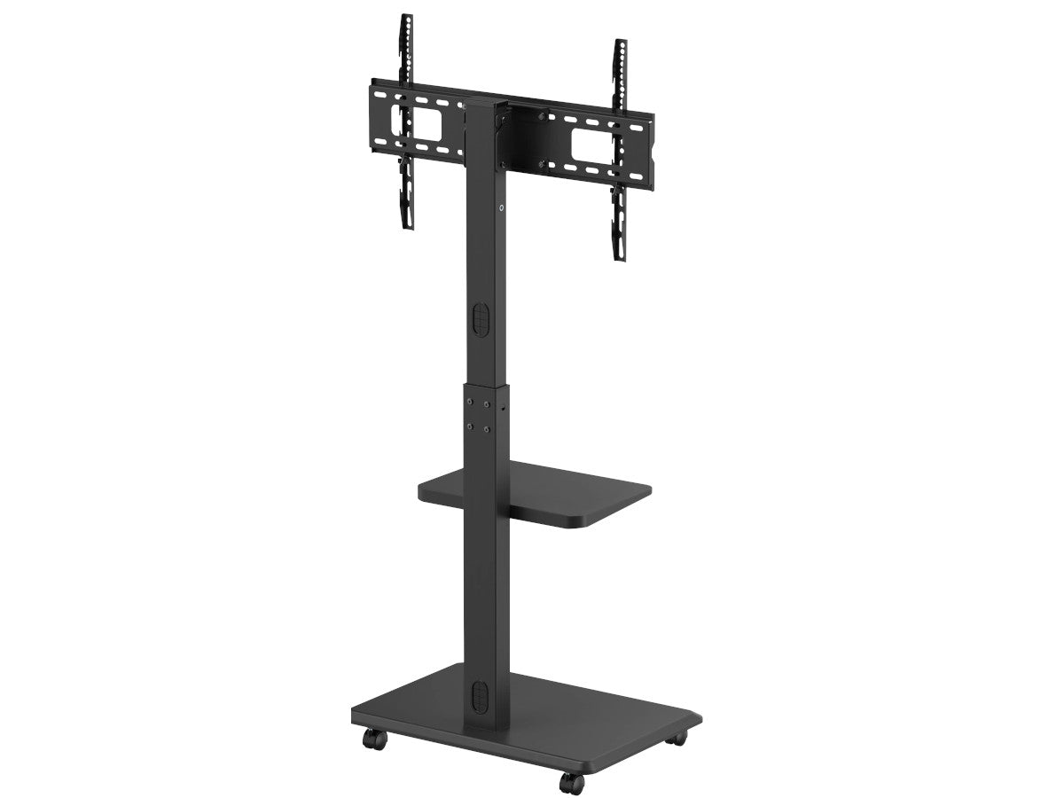 NORSTONE VISION PLUS
