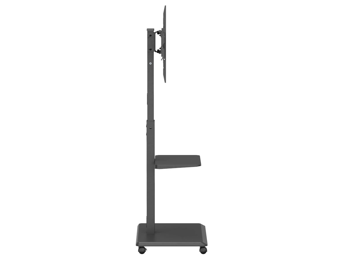 NORSTONE VISION PLUS