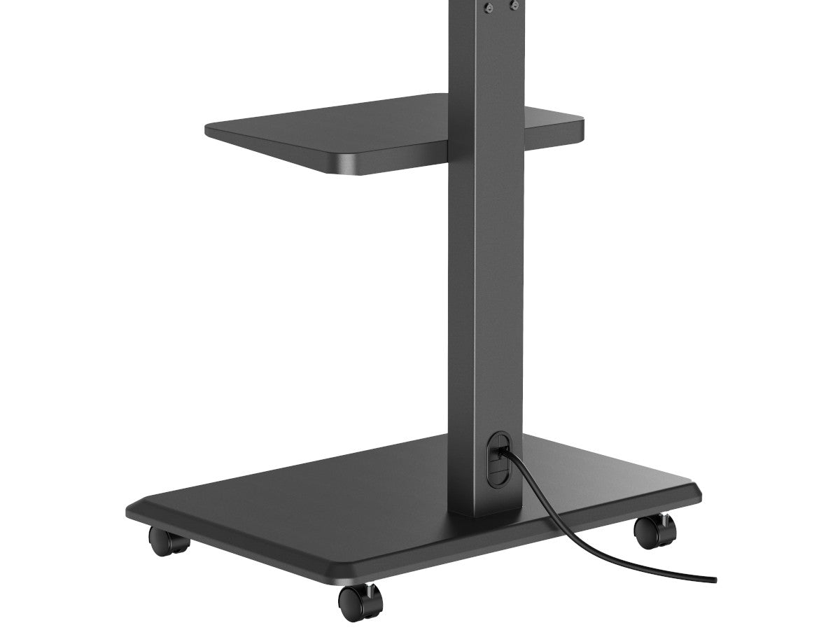 NORSTONE VISION PLUS