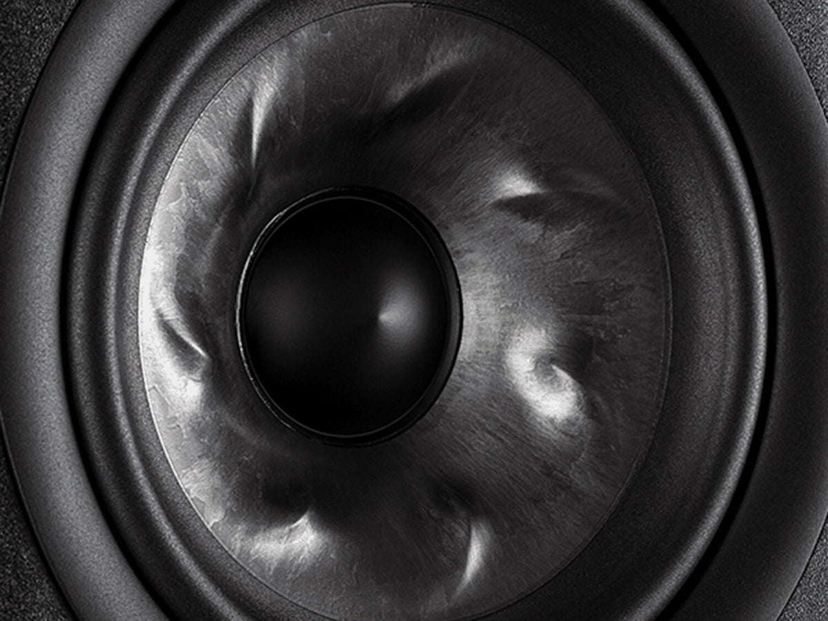 POLK AUDIO Reserve R900 (la paire) Noir