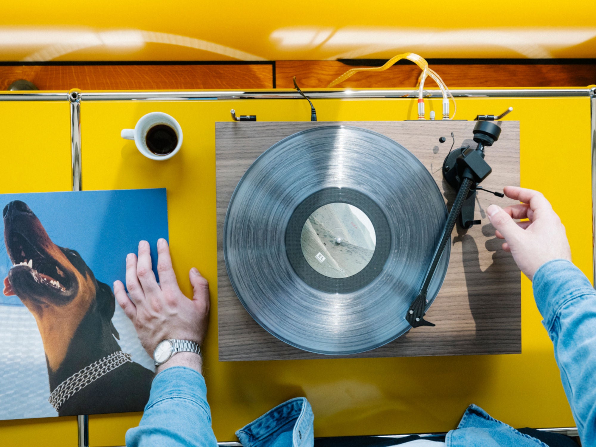 PROJECT DEBUT CARBON EVO 2 Noyer (Pick it Evo) lifestyle