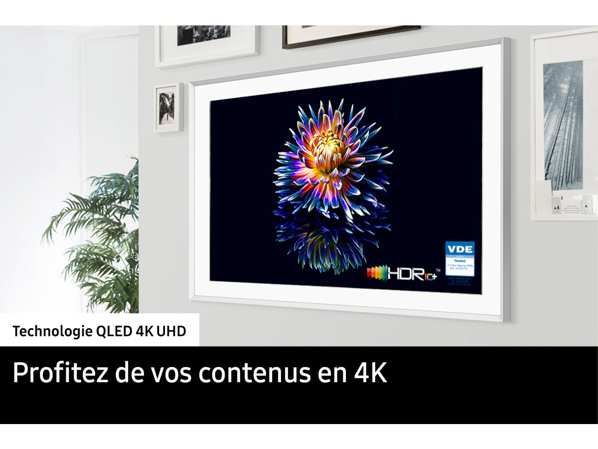 SAMSUNG TQ65LS03F The Frame 2025