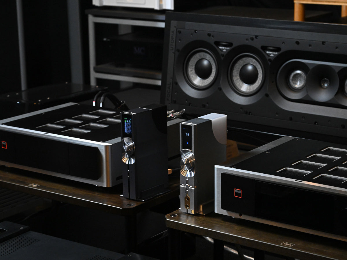 iFi Audio OMNI LAN