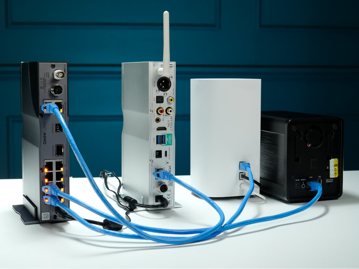 iFi Audio OMNI LAN