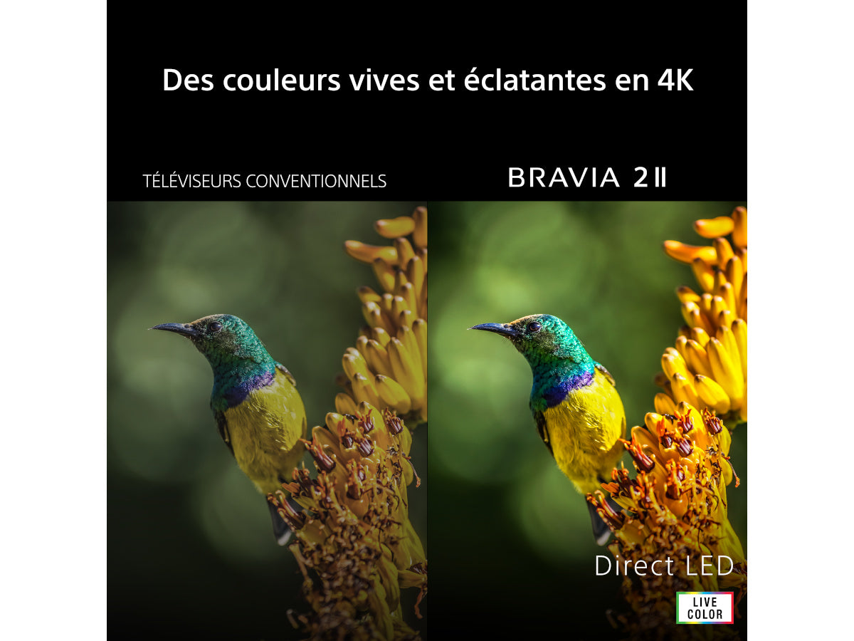 SONY 43 BRAVIA 2 II (K43S25M2PB)